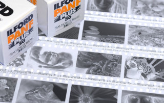 B&W negatives from digital photos