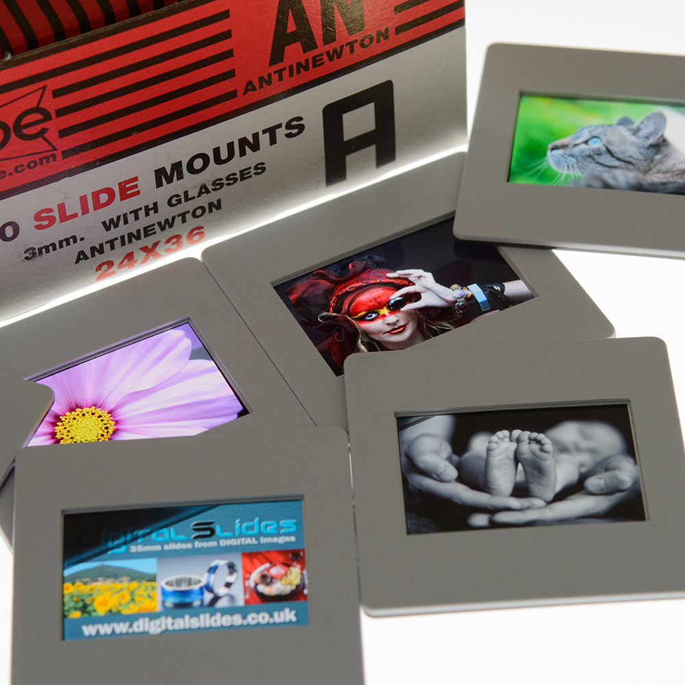 Glass mounted slides