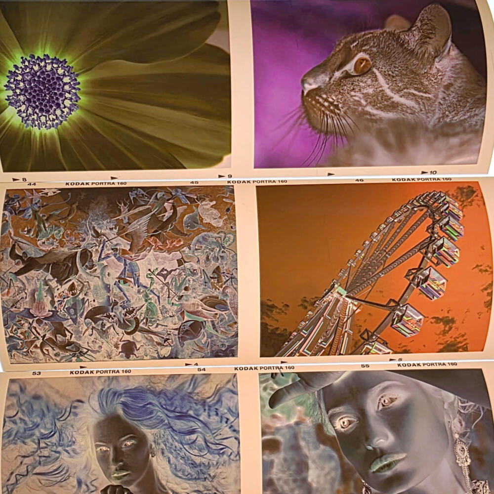 Colour negatives from digital photos