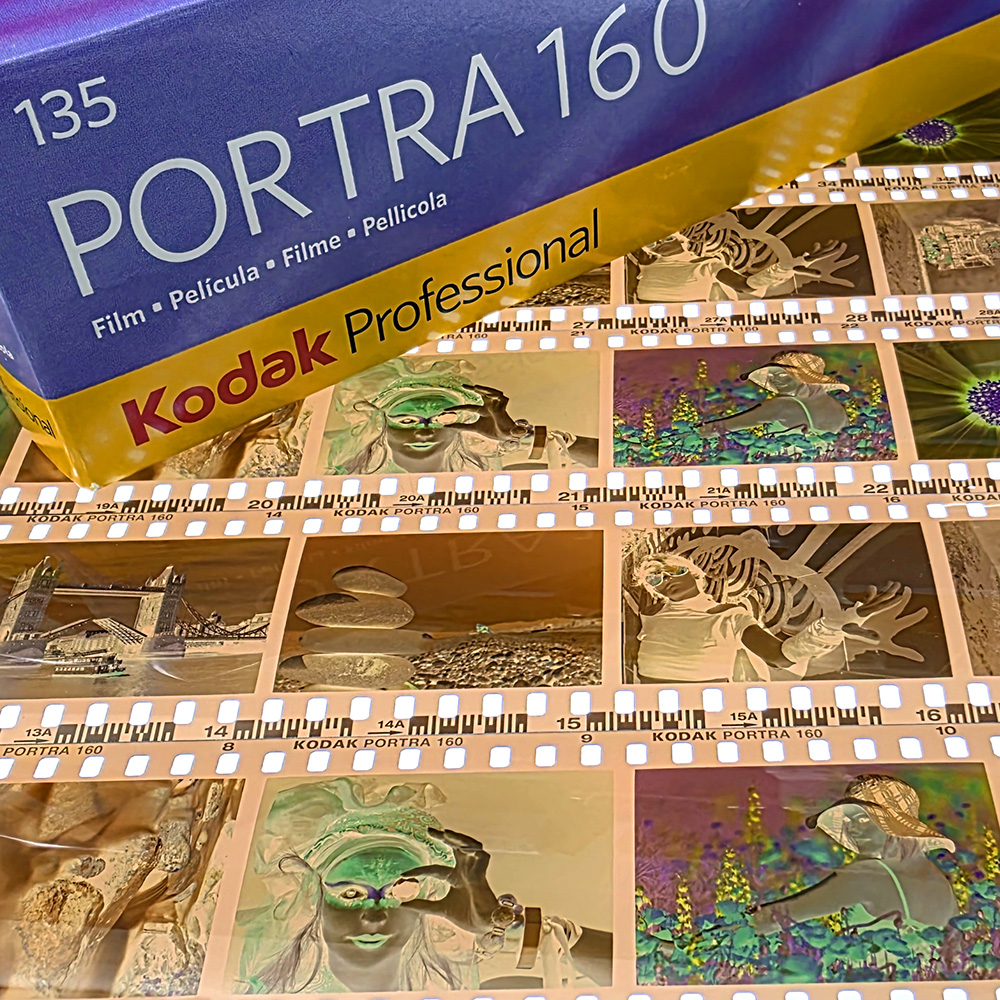 Digital images converted to Kodak Portra 160 colour negatives